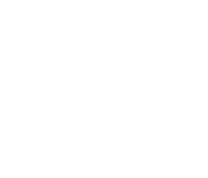 IA Srl