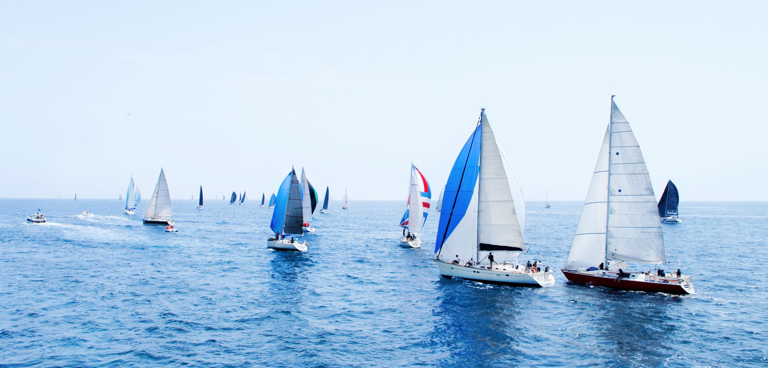 Regata Viareggio-Bastia-Viareggio 2024: Tra Sostenibilità e Innovazione. Aperte le iscrizioni